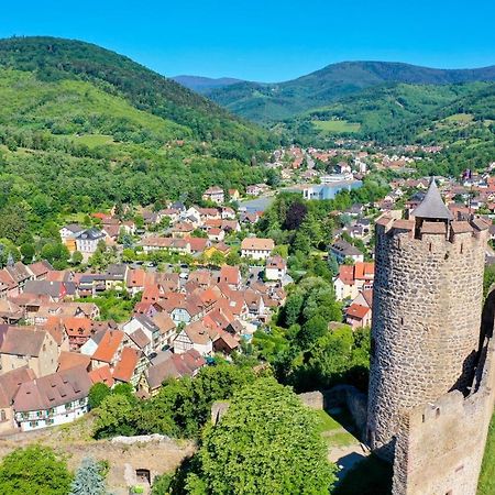 Les Chambres De La Weiss Kaysersberg-Vignoble Dış mekan fotoğraf
