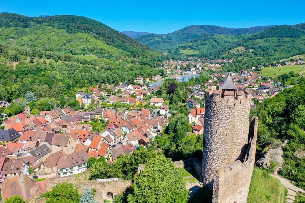 Les Chambres De La Weiss Kaysersberg-Vignoble Dış mekan fotoğraf